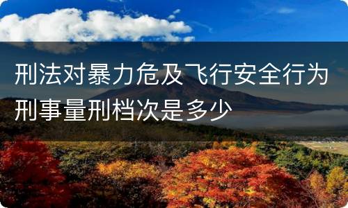 刑法对暴力危及飞行安全行为刑事量刑档次是多少