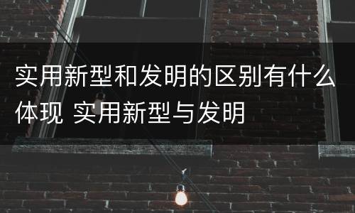 实用新型和发明的区别有什么体现 实用新型与发明