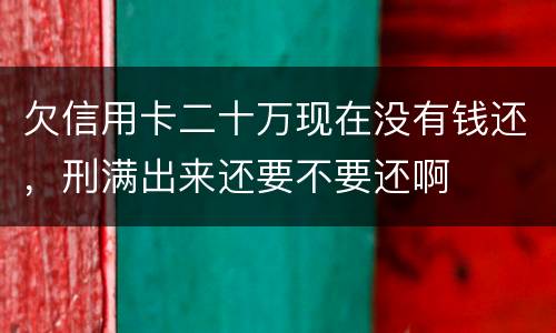 欠信用卡二十万现在没有钱还，刑满出来还要不要还啊