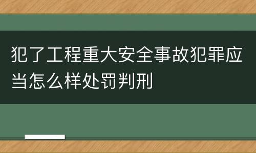 犯了工程重大安全事故犯罪应当怎么样处罚判刑