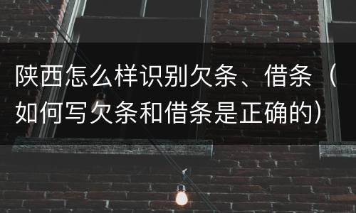 陕西怎么样识别欠条、借条（如何写欠条和借条是正确的）