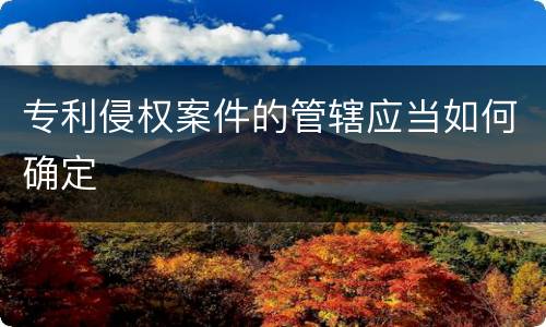 专利侵权案件的管辖应当如何确定
