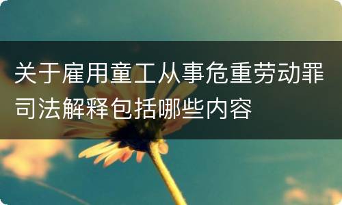 关于雇用童工从事危重劳动罪司法解释包括哪些内容