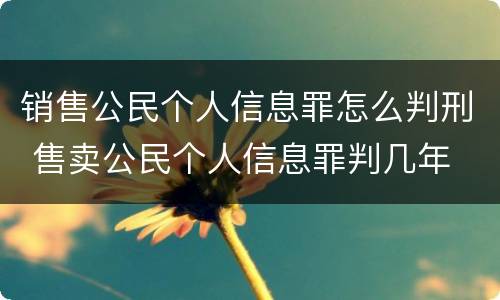 销售公民个人信息罪怎么判刑 售卖公民个人信息罪判几年