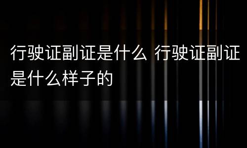 行驶证副证是什么 行驶证副证是什么样子的