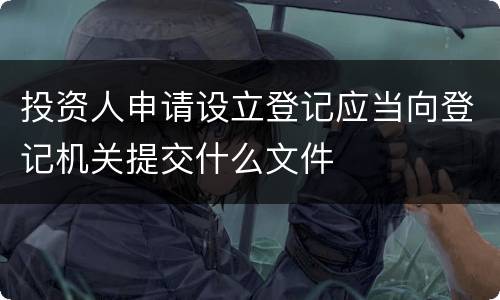 投资人申请设立登记应当向登记机关提交什么文件