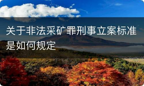关于非法采矿罪刑事立案标准是如何规定