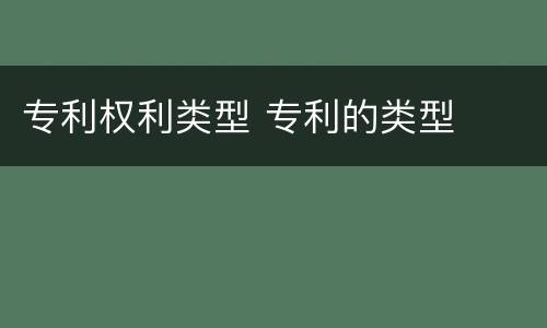 专利权利类型 专利的类型