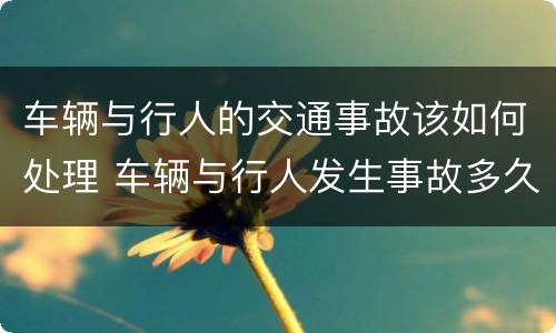 车辆与行人的交通事故该如何处理 车辆与行人发生事故多久处理