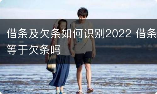 借条及欠条如何识别2022 借条等于欠条吗