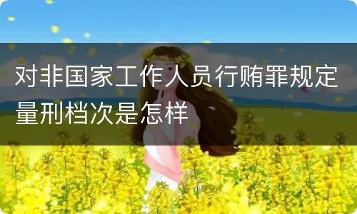 对非国家工作人员行贿罪规定量刑档次是怎样