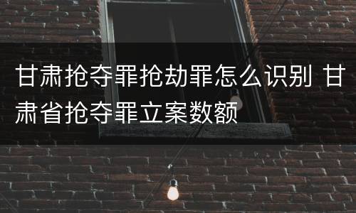 甘肃抢夺罪抢劫罪怎么识别 甘肃省抢夺罪立案数额