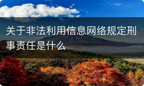 关于非法利用信息网络规定刑事责任是什么