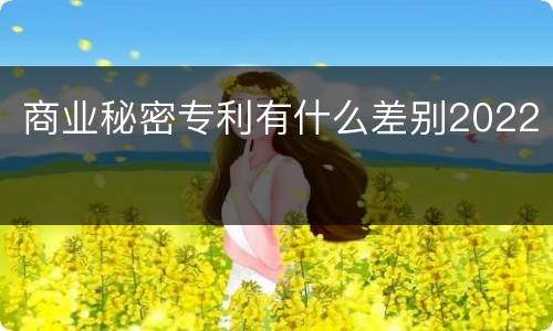 商业秘密专利有什么差别2022