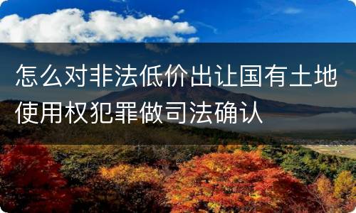 怎么对非法低价出让国有土地使用权犯罪做司法确认