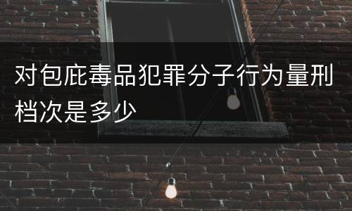 对包庇毒品犯罪分子行为量刑档次是多少