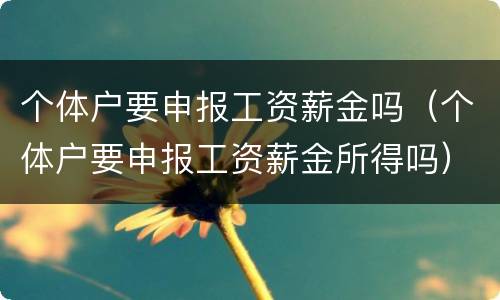 个体户要申报工资薪金吗（个体户要申报工资薪金所得吗）