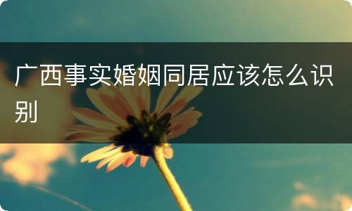 广西事实婚姻同居应该怎么识别