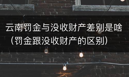 云南罚金与没收财产差别是啥（罚金跟没收财产的区别）