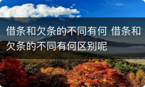 借条和欠条的不同有何 借条和欠条的不同有何区别呢