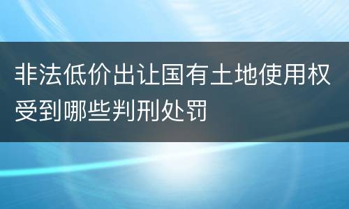 非法低价出让国有土地使用权受到哪些判刑处罚