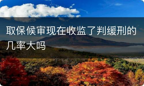 取保候审现在收监了判缓刑的几率大吗