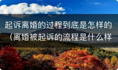 起诉离婚的过程到底是怎样的（离婚被起诉的流程是什么样的）