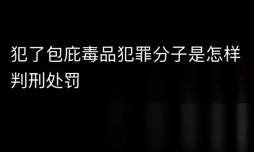 犯了包庇毒品犯罪分子是怎样判刑处罚