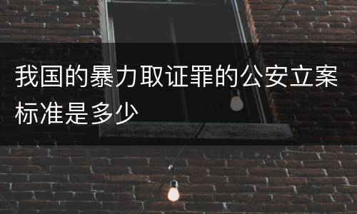 我国的暴力取证罪的公安立案标准是多少
