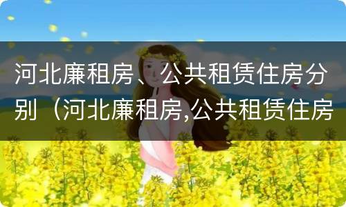 河北廉租房、公共租赁住房分别（河北廉租房,公共租赁住房分别多少钱）