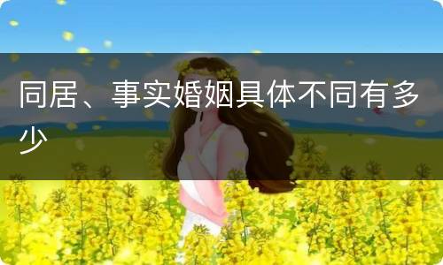 同居、事实婚姻具体不同有多少