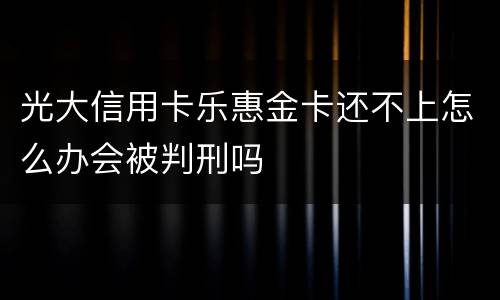 光大信用卡乐惠金卡还不上怎么办会被判刑吗