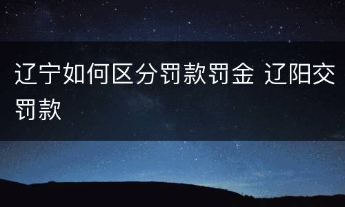 辽宁如何区分罚款罚金 辽阳交罚款