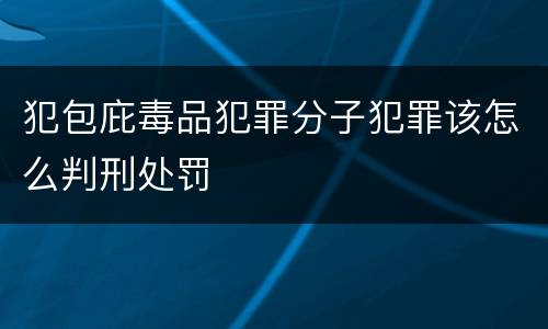 犯包庇毒品犯罪分子犯罪该怎么判刑处罚