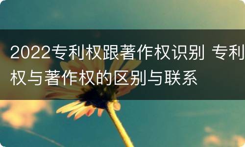 2022专利权跟著作权识别 专利权与著作权的区别与联系