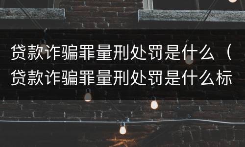 贷款诈骗罪量刑处罚是什么（贷款诈骗罪量刑处罚是什么标准）