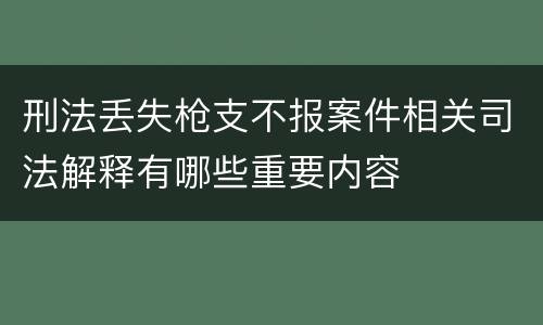 刑法丢失枪支不报案件相关司法解释有哪些重要内容
