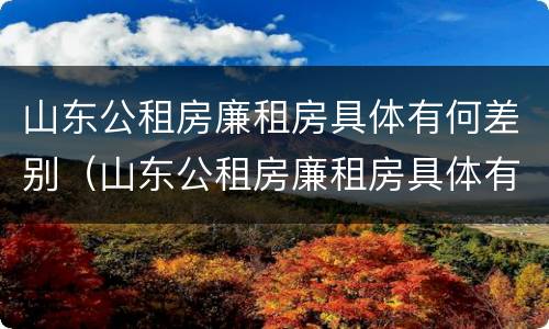山东公租房廉租房具体有何差别（山东公租房廉租房具体有何差别呢）