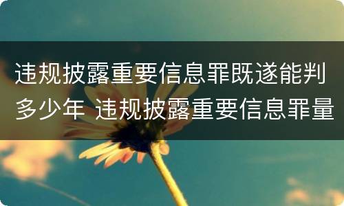违规披露重要信息罪既遂能判多少年 违规披露重要信息罪量刑