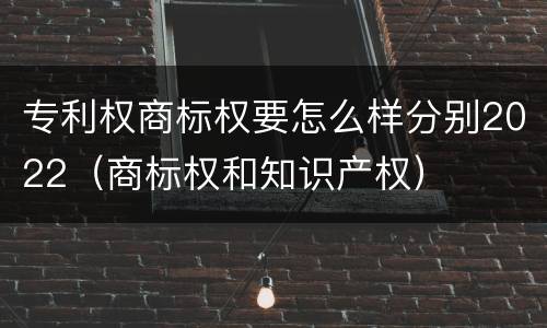 专利权商标权要怎么样分别2022（商标权和知识产权）