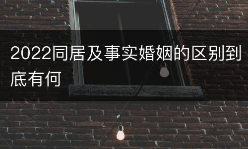 2022同居及事实婚姻的区别到底有何