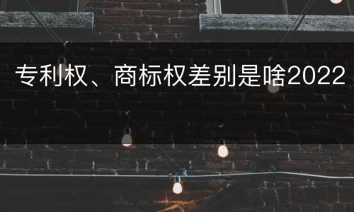 专利权、商标权差别是啥2022
