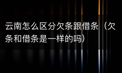 云南怎么区分欠条跟借条（欠条和借条是一样的吗）