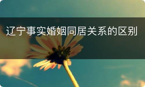 辽宁事实婚姻同居关系的区别