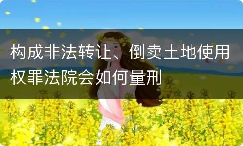 构成非法转让、倒卖土地使用权罪法院会如何量刑