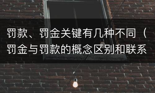 罚款、罚金关键有几种不同（罚金与罚款的概念区别和联系）