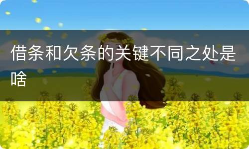借条和欠条的关键不同之处是啥