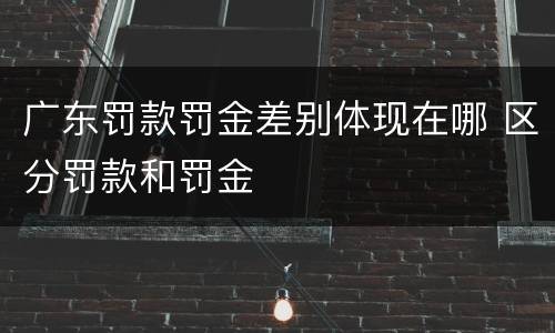 广东罚款罚金差别体现在哪 区分罚款和罚金