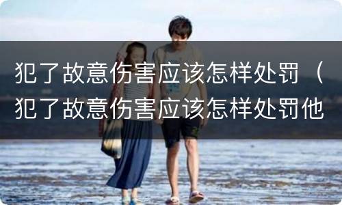 犯了故意伤害应该怎样处罚（犯了故意伤害应该怎样处罚他）