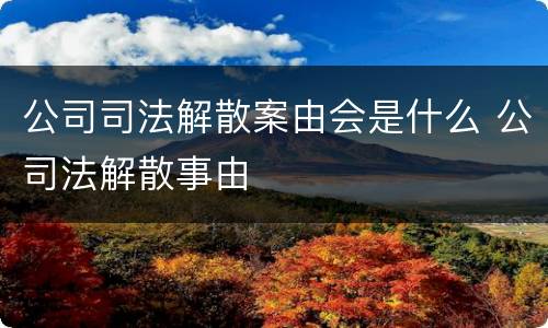 公司司法解散案由会是什么 公司法解散事由